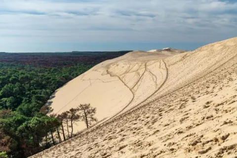 Dune du Pilat an der Atlantikküste bei Arcachon in der Region Nouvelle-Aquitaine