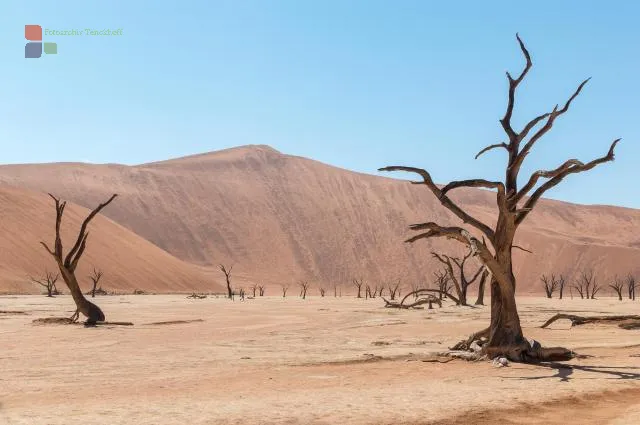 The Deadvlei