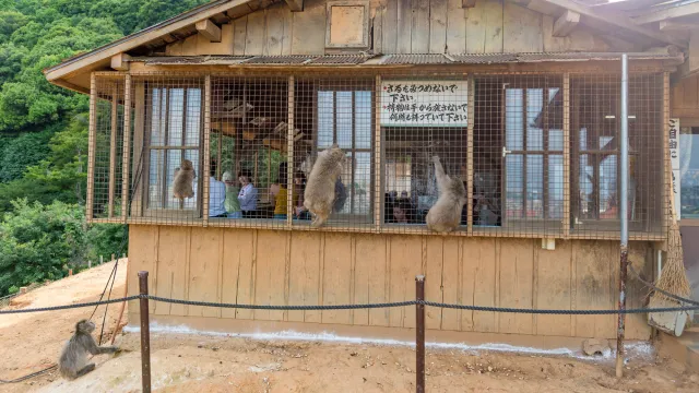 Visitors behind bars