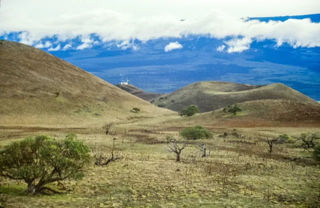 Vulkankegel beim Mauna Kea