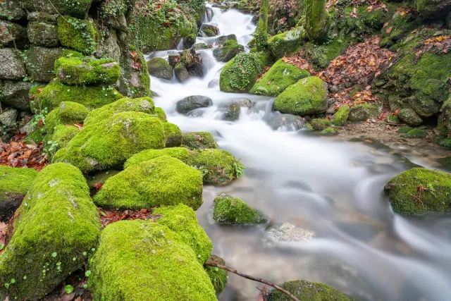 Zufluss zum Rio Nava - 25 Sek bei f/7,1