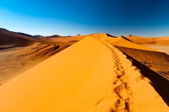 The dune landscape around Dune 45 in the Namib