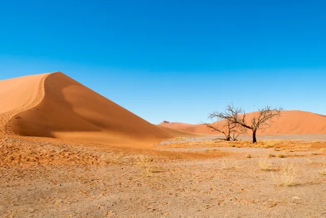 Die Dünen am Sossusvlei