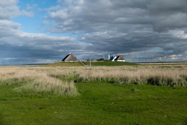 Auf der Hamburger Hallig