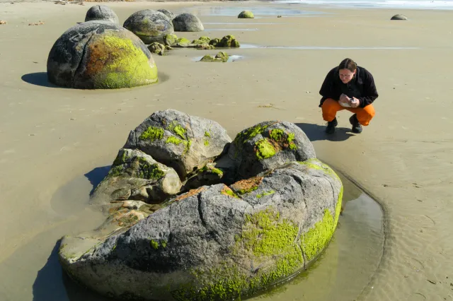 The Moeraki Boulders on Boulders Beach