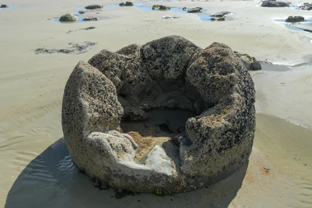 Die Moeraki Boulders