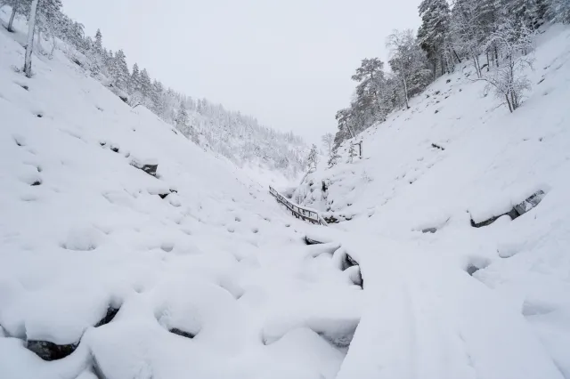 Pyhätunturi in  Pelkosenniemi