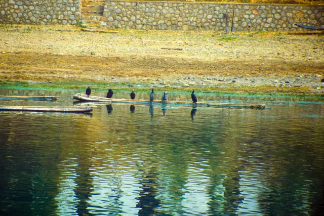 Cormorant fishermen on the Li River