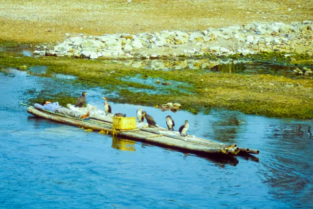 Cormorant fishermen on the Li River