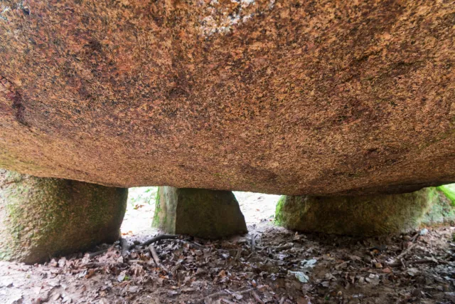 Das Großsteingrab in der Kunkenvenne, auch Großsteingrab von Thuine genannt, Sprockhoff-Nr. 874