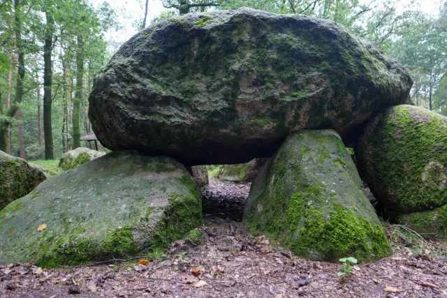 Das Großsteingrab in der Kunkenvenne, auch Großsteingrab von Thuine genannt, Sprockhoff-Nr. 874