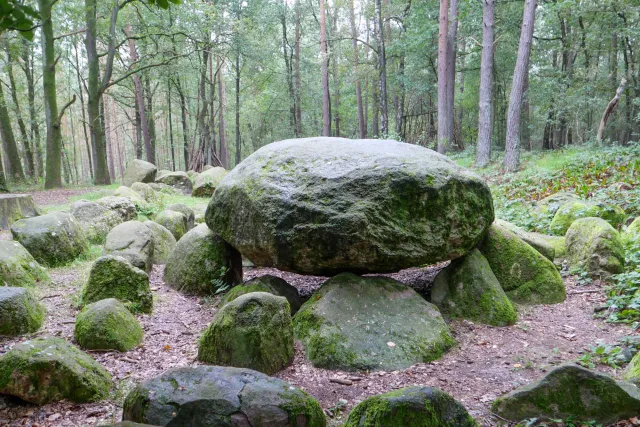 Das Großsteingrab in der Kunkenvenne, auch Großsteingrab von Thuine genannt, Sprockhoff-Nr. 874