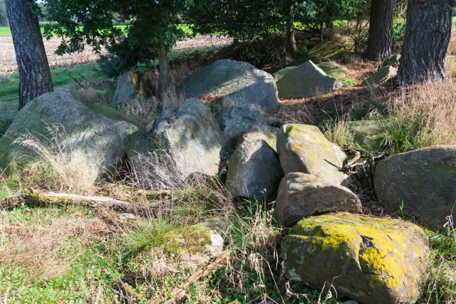 Large cairn at the Kölkesdose (Lahn IV) near Lahn with the Sprockhoff no. 837