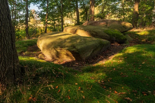 The megalithic tomb Hüven-Süd with the Sprockhoff no. 843