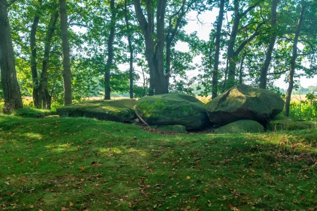 The megalithic tomb Hüven-Süd with the Sprockhoff no. 843