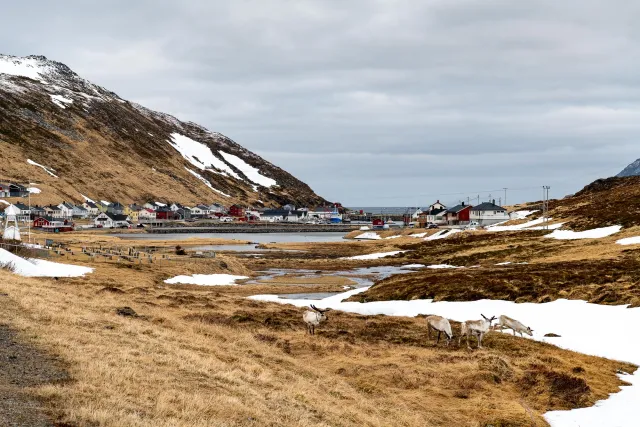 Ankunft am Basecamp auf dem Nordkap