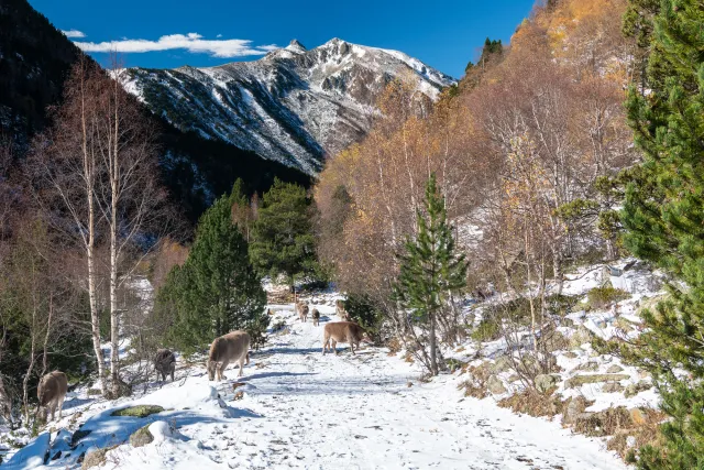 Wandern in den Bergwelten von Andorra