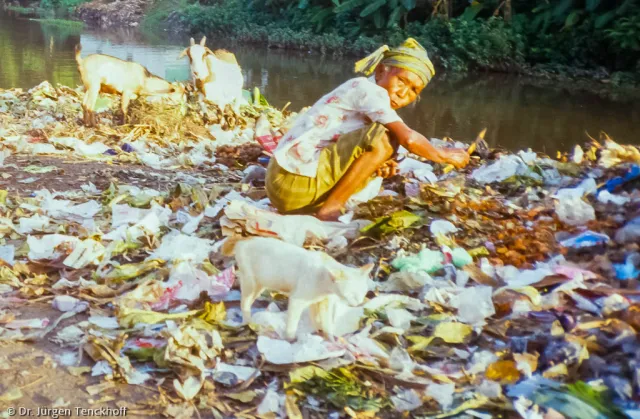 Garbage collectors in Lombok, Indonesia