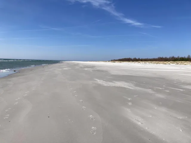 Am Strand zwischen Dueodde und Snogebaek