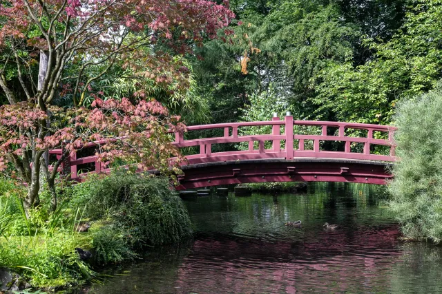 Red bridges over clear waters.