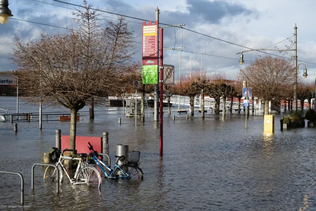 Überschwemmung der Allee am Rheinufer bei Königswinter