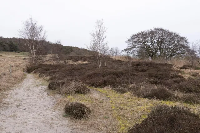 Trail from Bakkerne Havn to Snogebæk