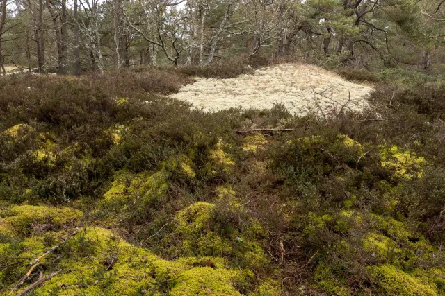 Trail from Bakkerne Havn to Snogebæk